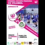 1ª División Femenina de Voleibol