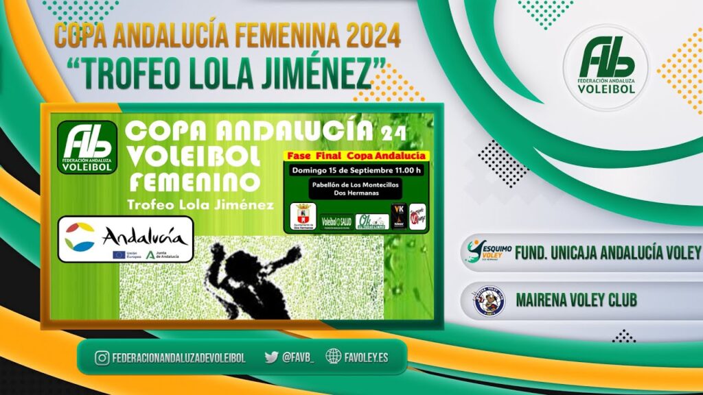 Federación Andaluza de Voleibol