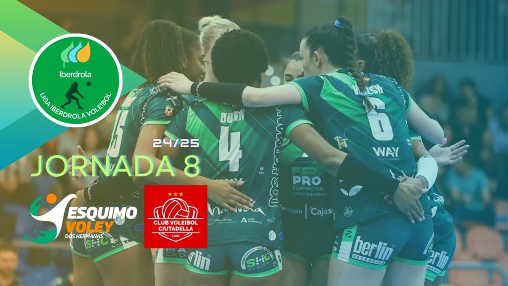 Liga Iberdrola de Voleibol